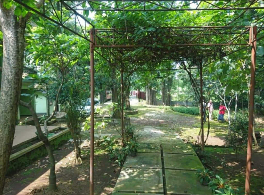 Dijual Tanah Murah Bonus Rumah Seluas 300 Meter Lokasi Purwodadi Malang
